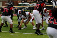 SVL_fb-f_10