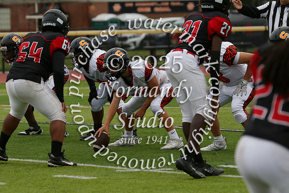 SVL_fb-f_10
