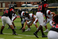 SVL_fb-f_12