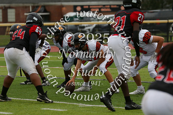 SVL_fb-f_12