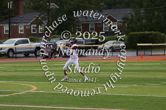 SVL_fb-f_09