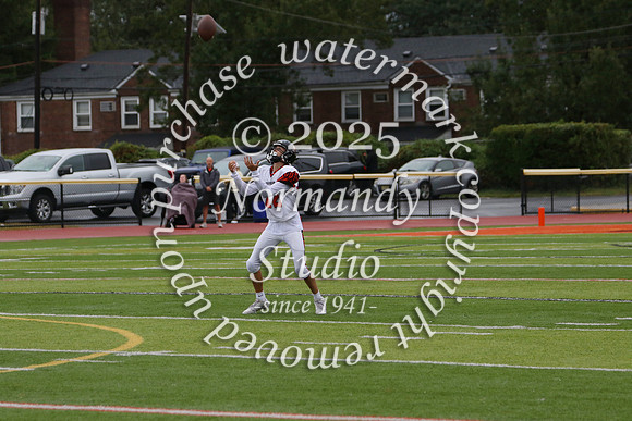 SVL_fb-f_08