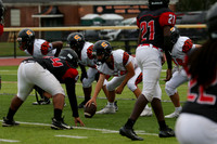 SVL_fb-f_13
