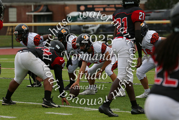 SVL_fb-f_13