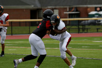 SVL_fb-f_17