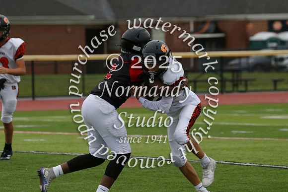 SVL_fb-f_17