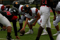 SVL_fb-f_16