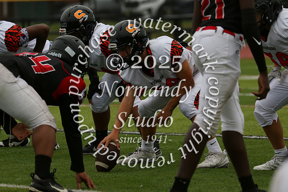 SVL_fb-f_16