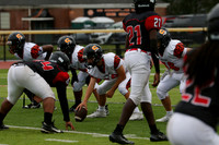 SVL_fb-f_15