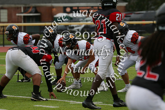 SVL_fb-f_15