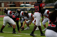 SVL_fb-f_14