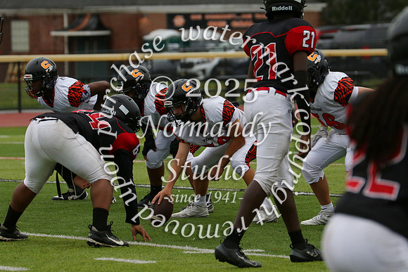 SVL_fb-f_14