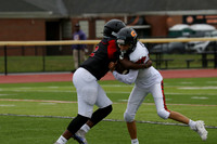 SVL_fb-f_18
