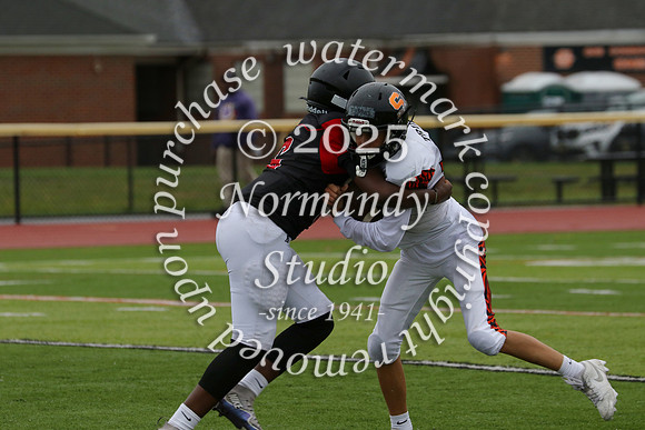 SVL_fb-f_18