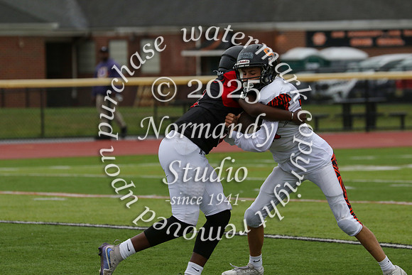 SVL_fb-f_19