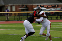 SVL_fb-f_20
