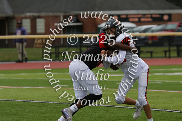 SVL_fb-f_20