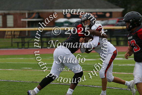 SVL_fb-f_21