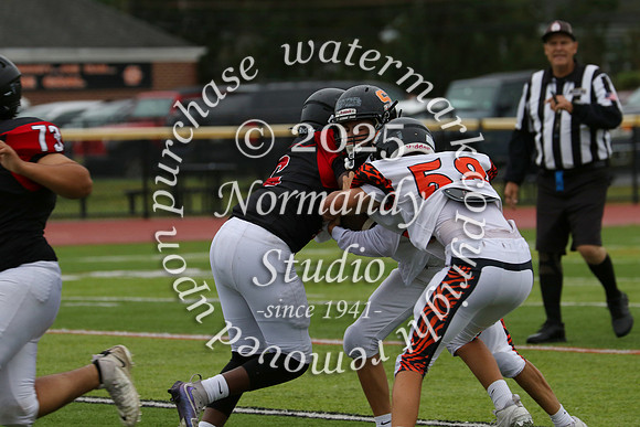 SVL_fb-f_22