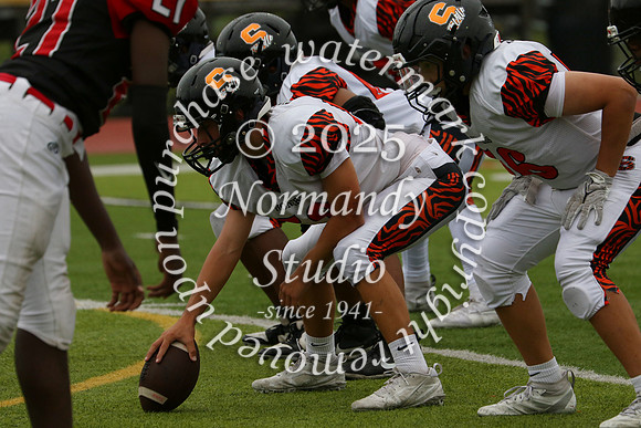SVL_fb-f_23