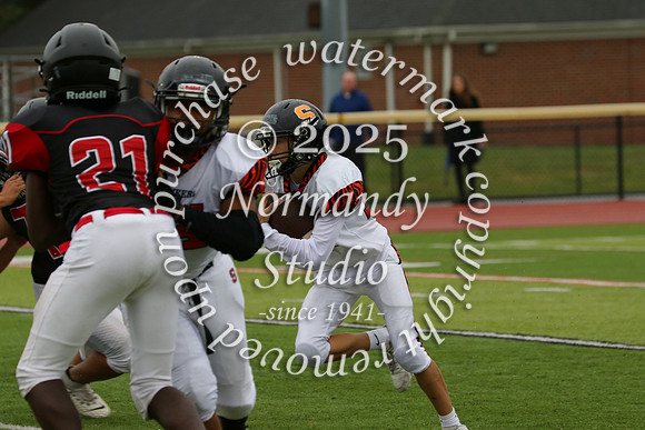 SVL_fb-f_25