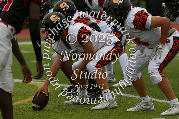 SVL_fb-f_24