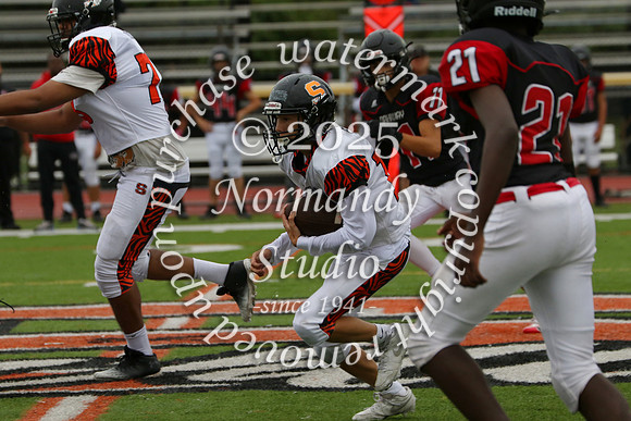 SVL_fb-f_28