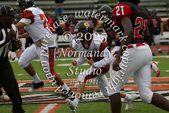 SVL_fb-f_29