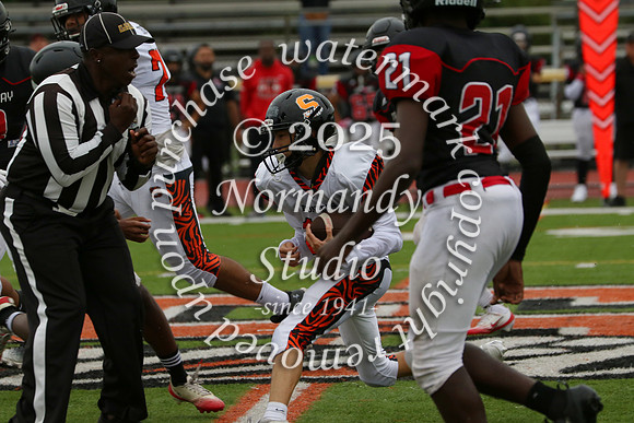 SVL_fb-f_30