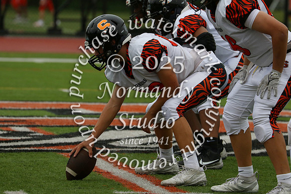 SVL_fb-f_31