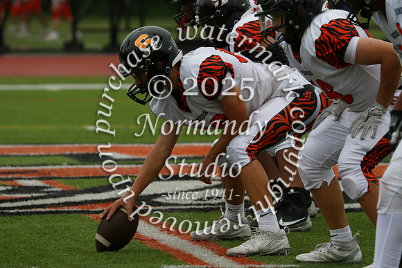 SVL_fb-f_32