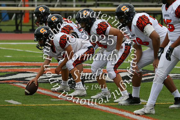 SVL_fb-f_33