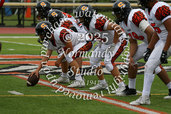 SVL_fb-f_34