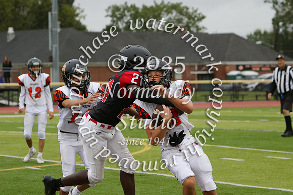 SVL_fb-f_36