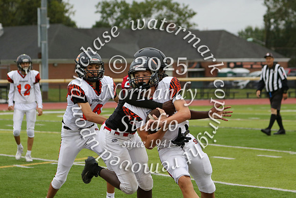 SVL_fb-f_37