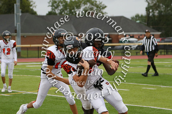 SVL_fb-f_38