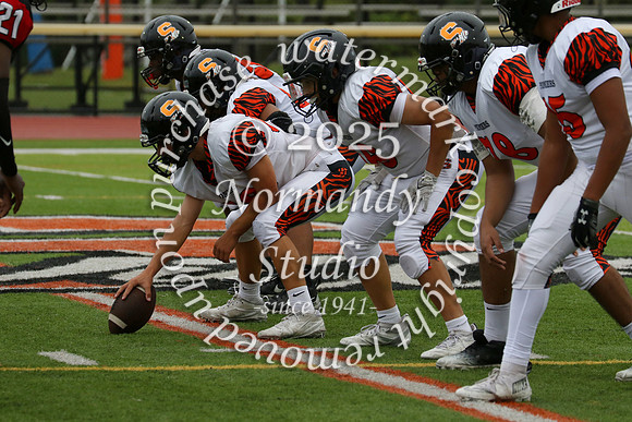 SVL_fb-f_35