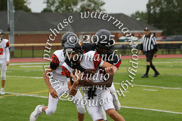 SVL_fb-f_39