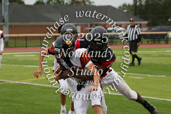SVL_fb-f_40