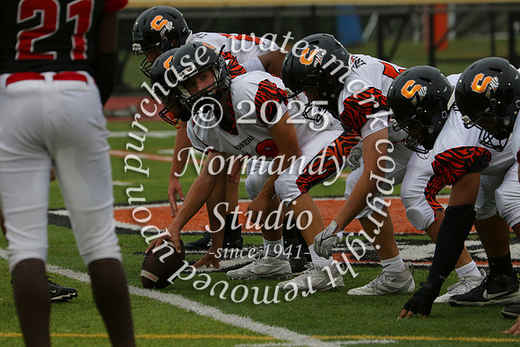 SVL_fb-f_42