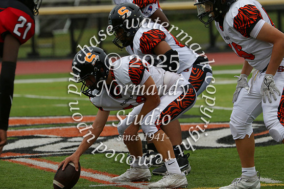 SVL_fb-f_41