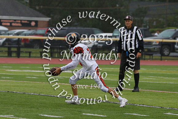 SVL_fb-f_48