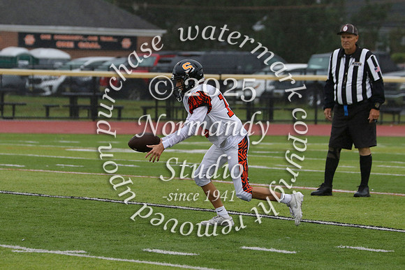 SVL_fb-f_49