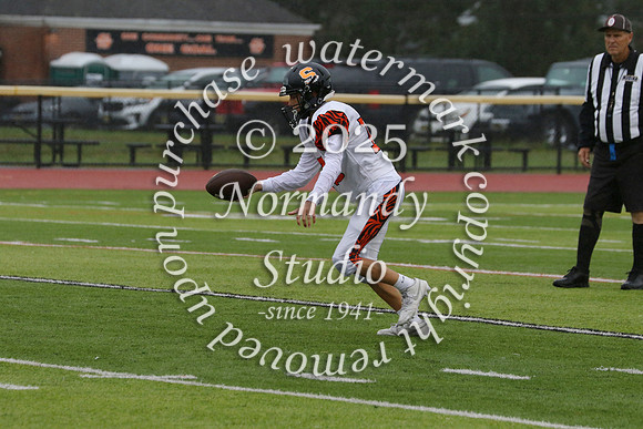 SVL_fb-f_50