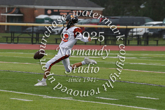 SVL_fb-f_52