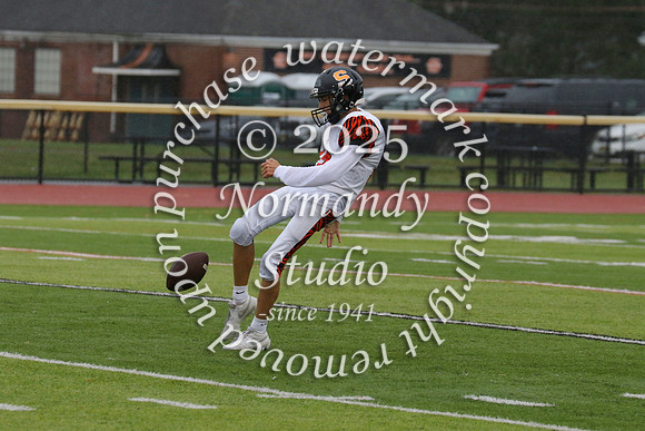 SVL_fb-f_53