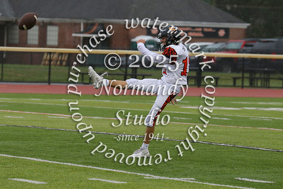 SVL_fb-f_54