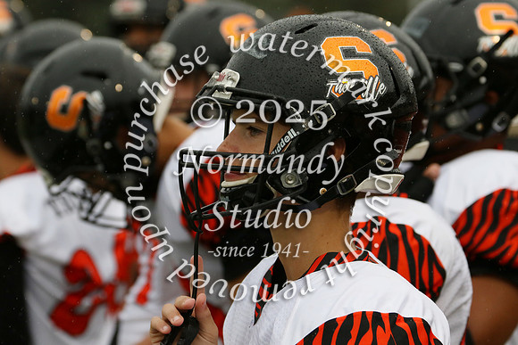 SVL_fb-f_55