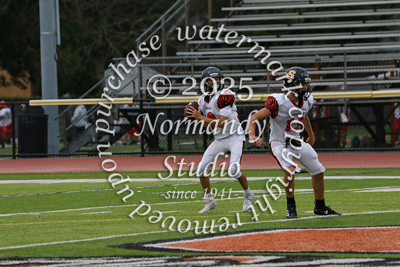 SVL_fb-f_58