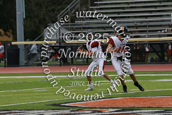 SVL_fb-f_59